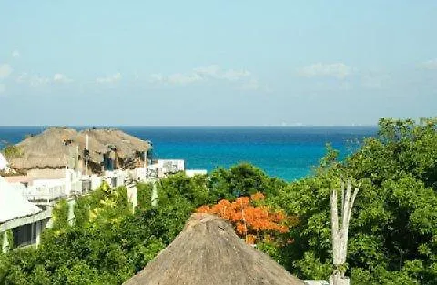Lunata - 5th Avenue Playa del Carmen