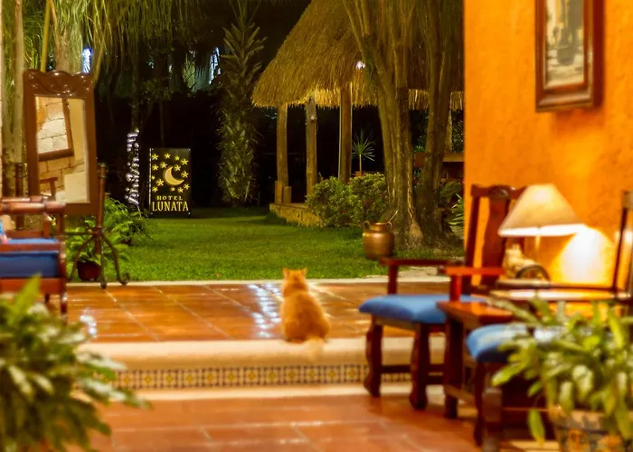Lunata - 5th Avenue (adults Only) Hotel Playa del Carmen